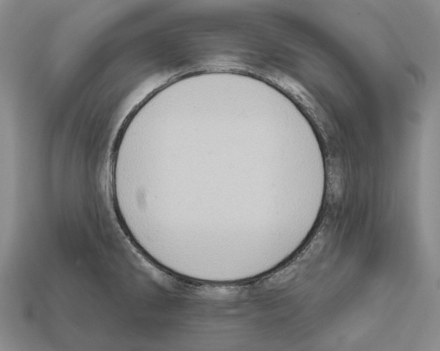 X0000112421286200909251508