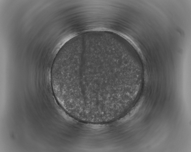 X0000112421289200909251508