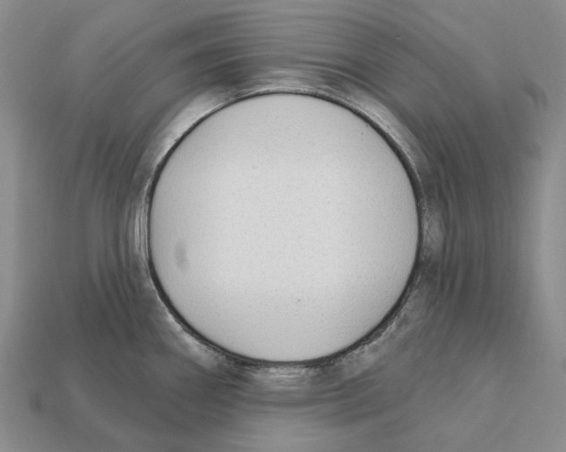 X0000112421290200909251508