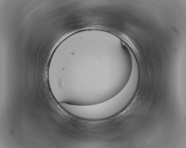 X0000112421292200909251508