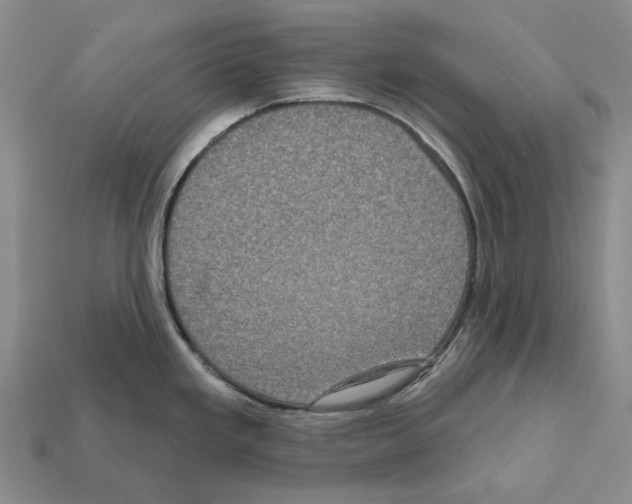 X0000112421293200909251508