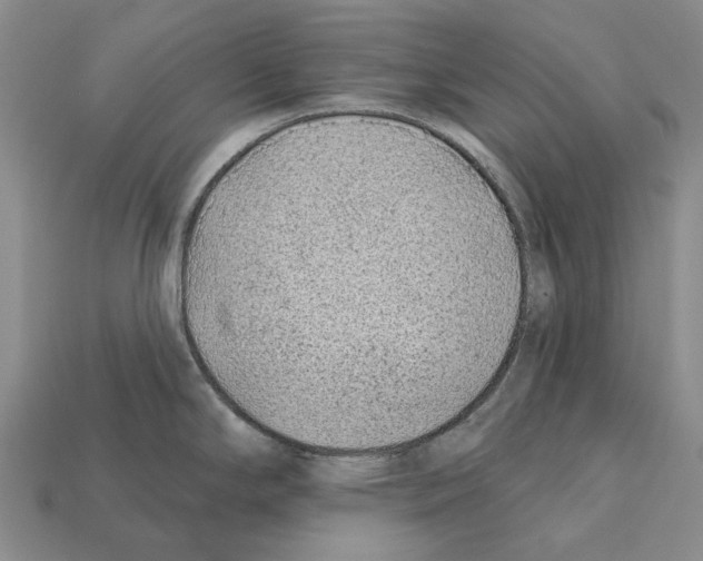 X0000112421294200909251508