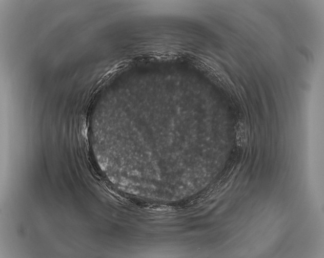 X0000112421298200909251508