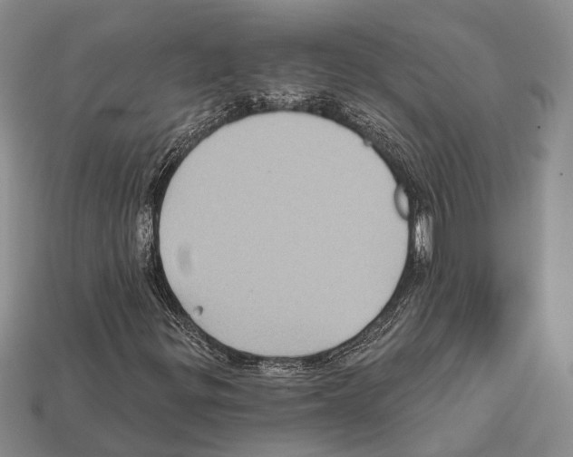 X0000112421299200909251508