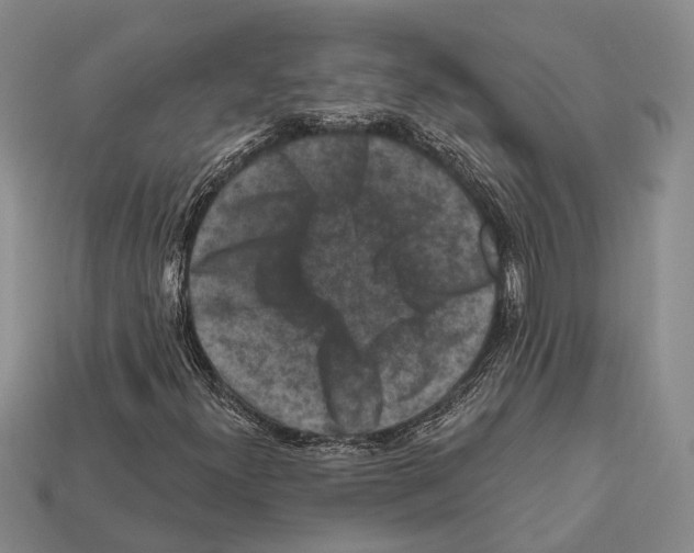 X0000112421300200909251508