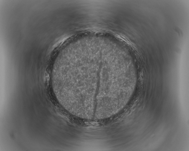 X0000112421302200909251508