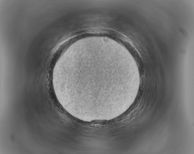 X0000112421304200909251508