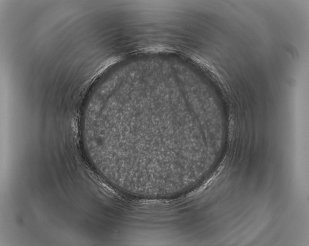 X0000112421305200909251508