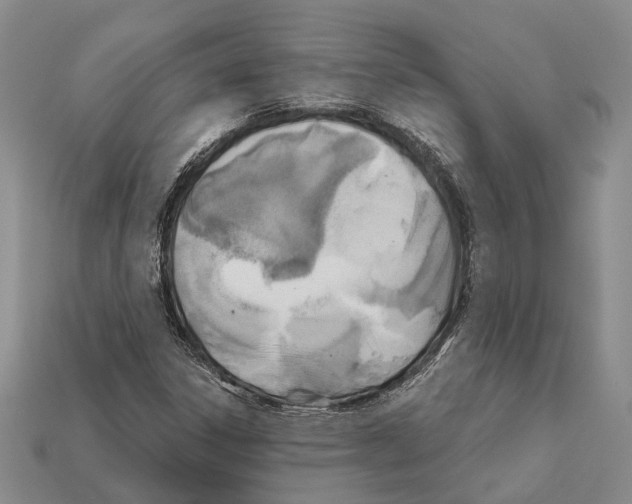 X0000112421306200909251508