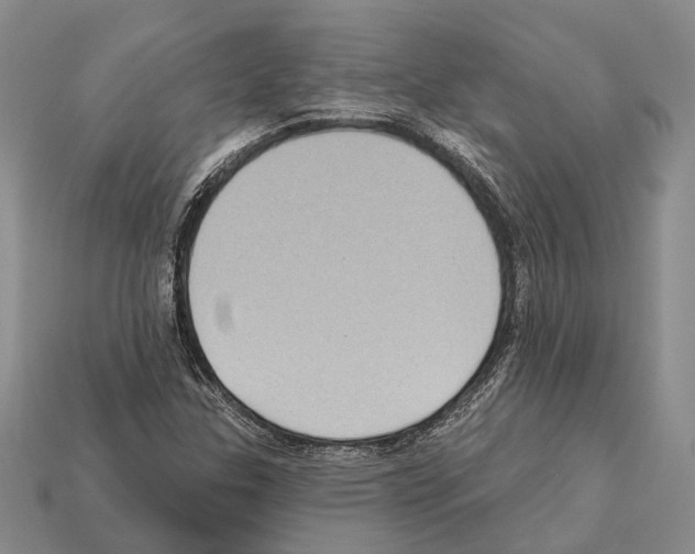 X0000112421307200909251508