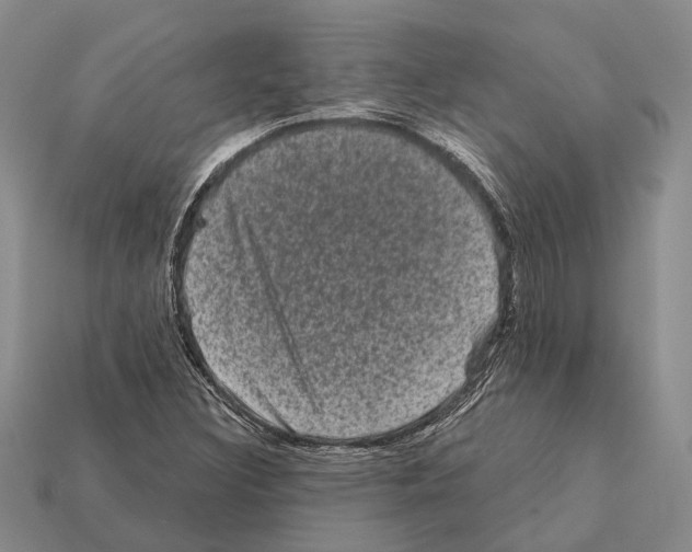 X0000112421308200909251508