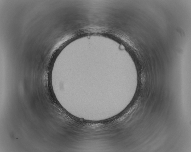 X0000112421309200909251508