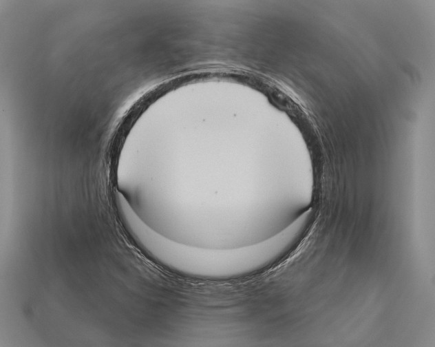 X0000112421310200909251508