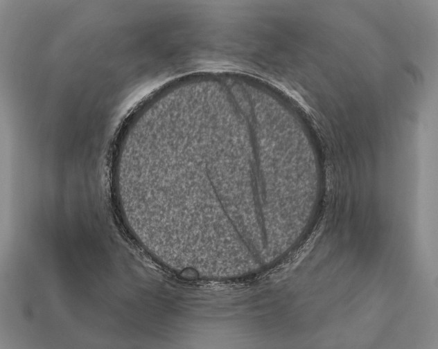 X0000112421311200909251508