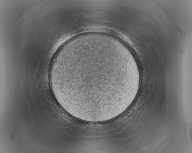 X0000112421312200909251508