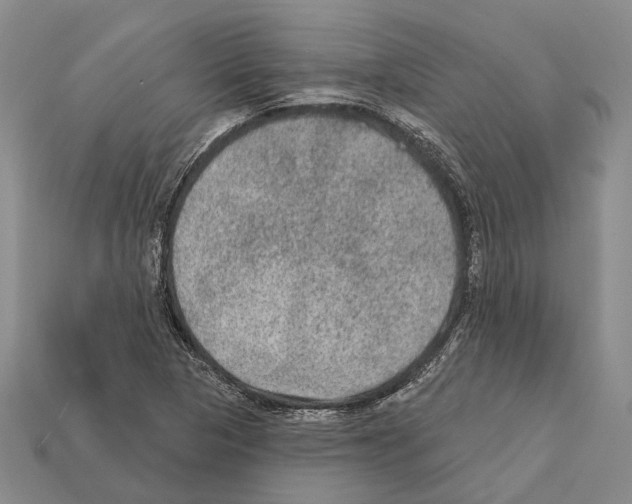 X0000112421313200909251508