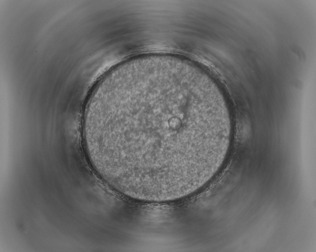 X0000112421314200909251508