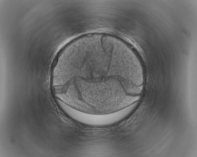 X0000112421316200909251508