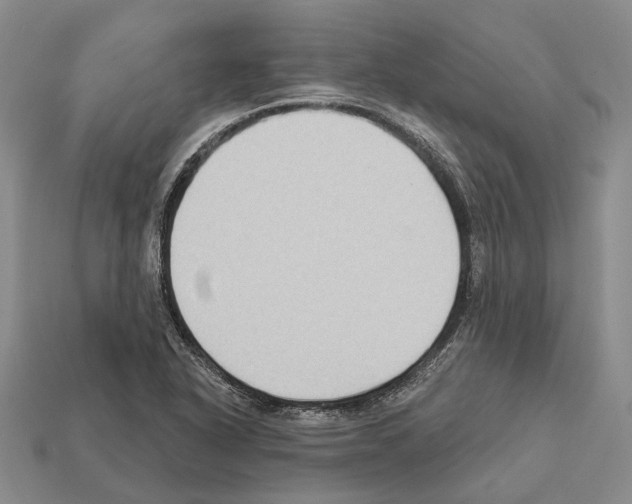 X0000112421318200909251508