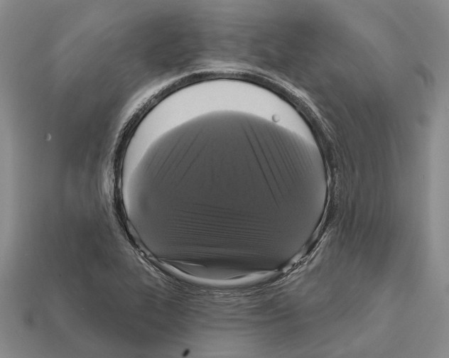 X0000112421319200909251508