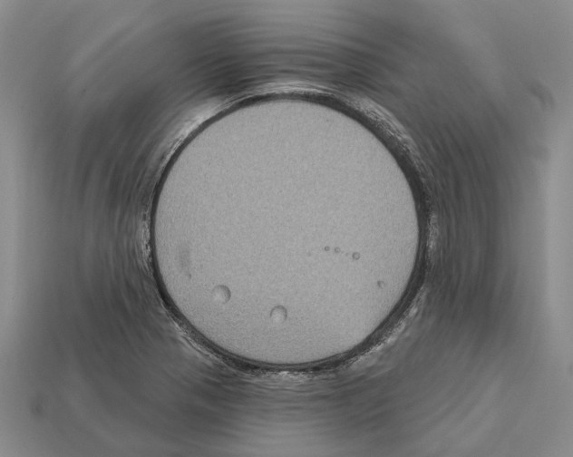 X0000112421321200909251508