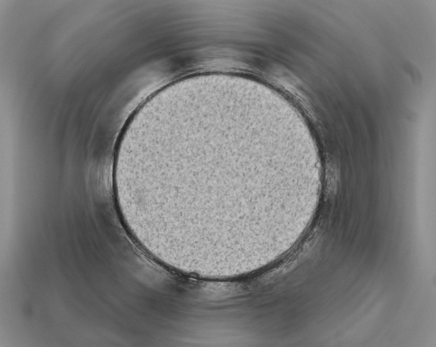 X0000112421322200909251508