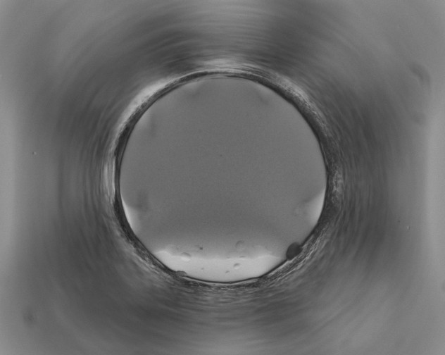 X0000112421323200909251508