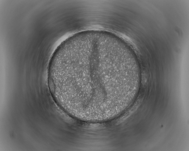 X0000112421326200909251508