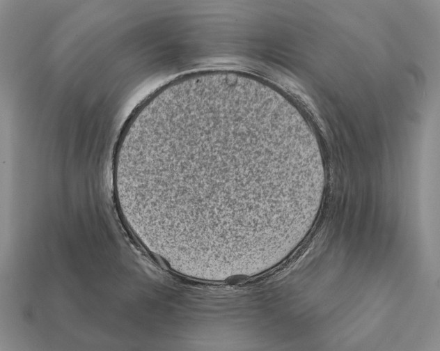 X0000112421328200909251508