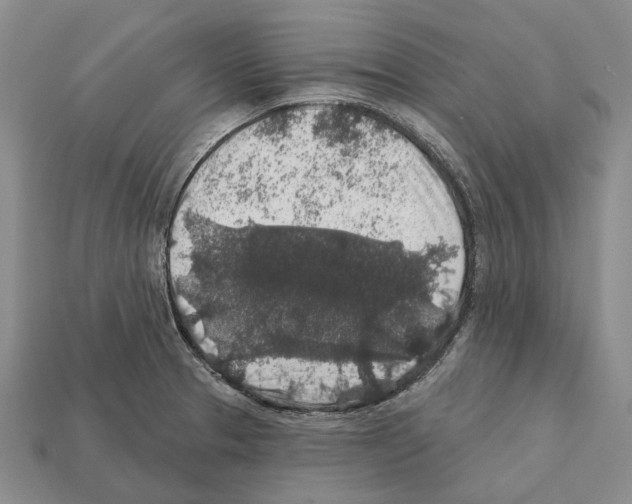 X0000112421329200909251508