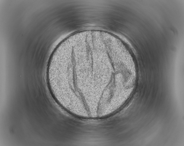 X0000112421333200909251508