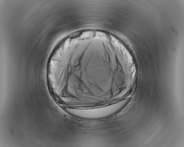 X0000112421334200909251508