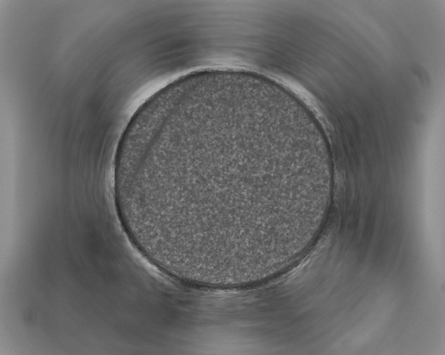 X0000112421335200909251508