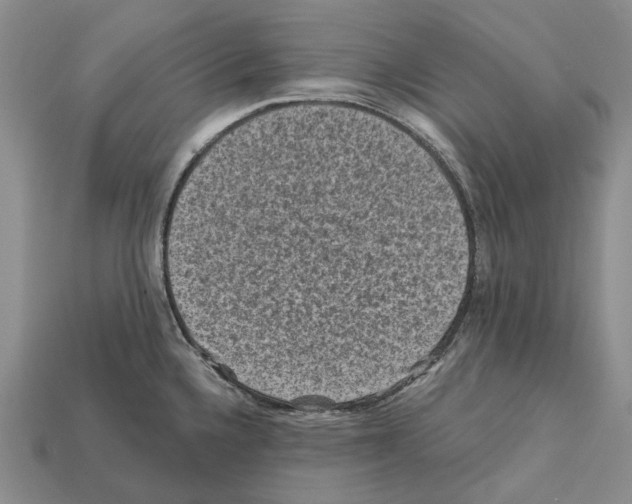 X0000112421336200909251508