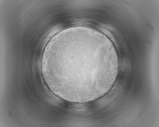 X0000112421338200909251508