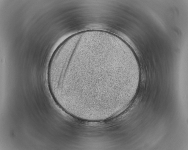 X0000112421339200909251508