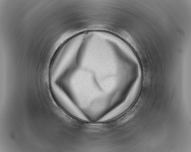 X0000112421342200909251508