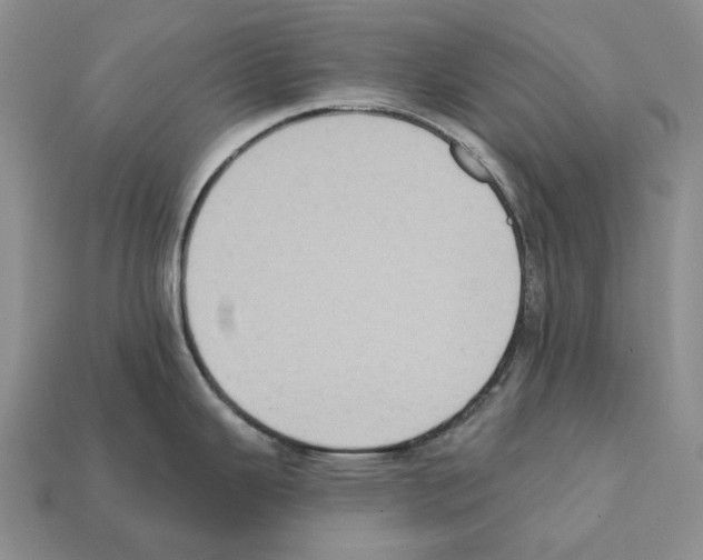 X0000112421343200909251508