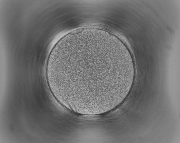 X0000112421344200909251508