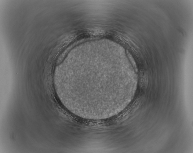 X0000112421345200909251508