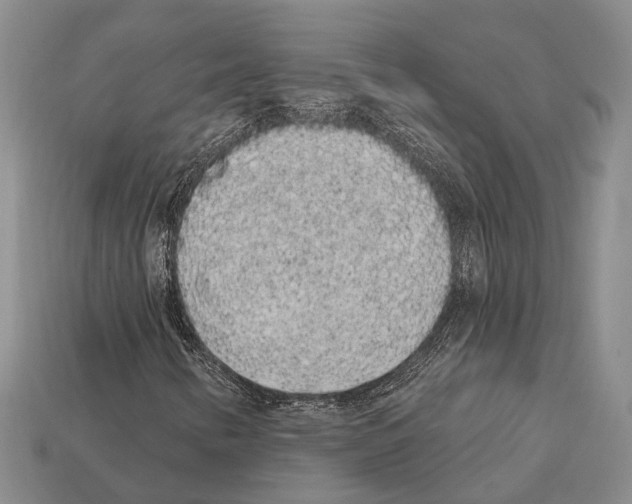 X0000112421346200909251508