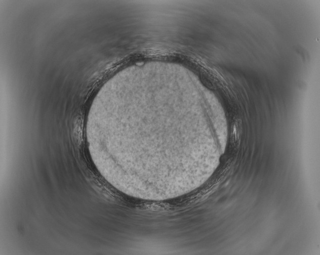 X0000112421348200909251508