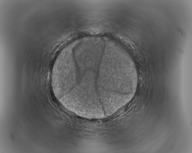 X0000112421349200909251508