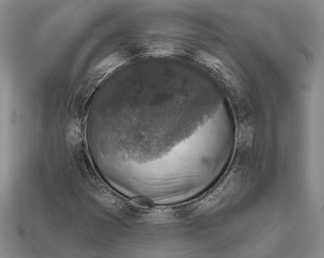 X0000112421353200909251508