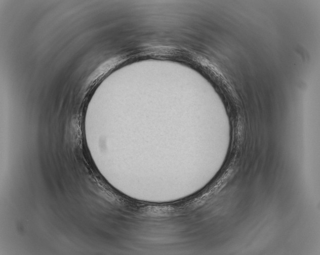 X0000112421354200909251508