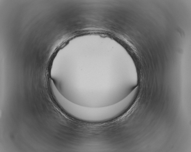 X0000112421357200909251507