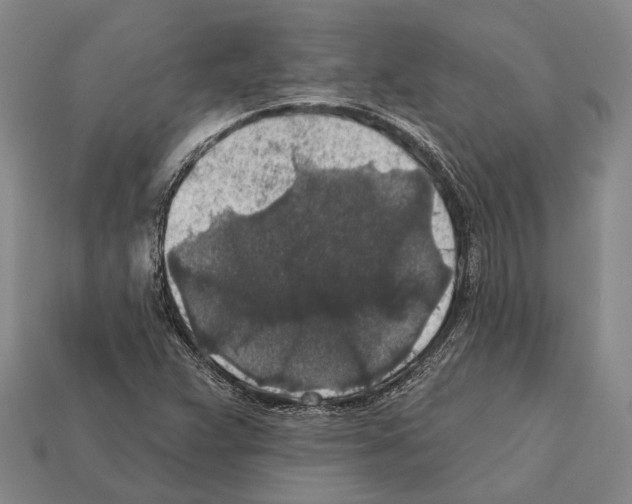 X0000112421359200909251507