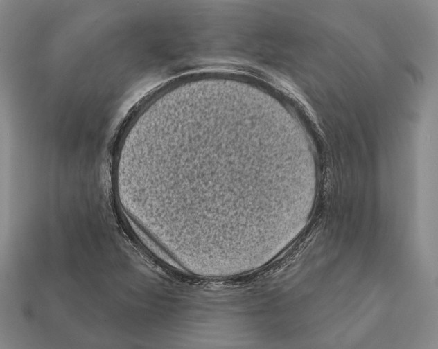 X0000112421360200909251507