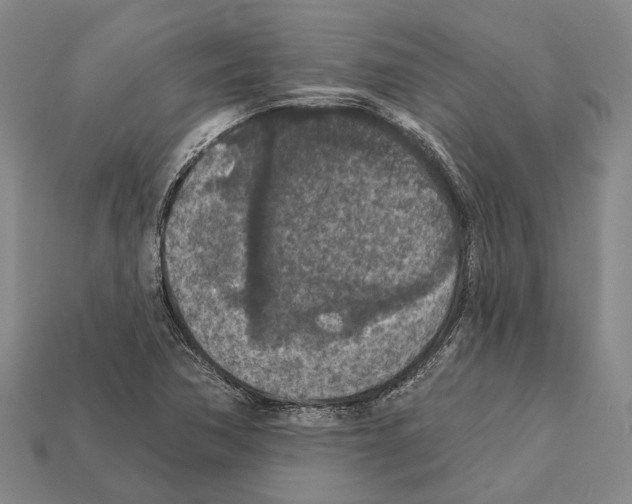 X0000112421362200909251507