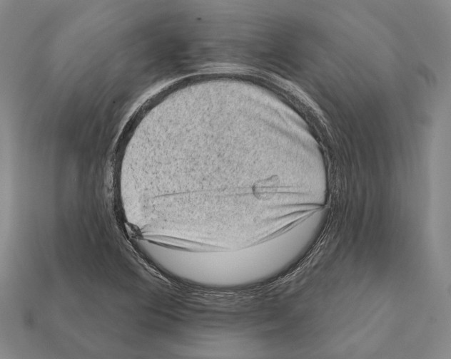 X0000112421364200909251507